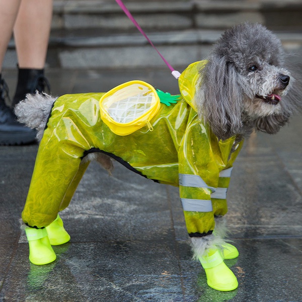 Pet Spring / Summer Raincoat